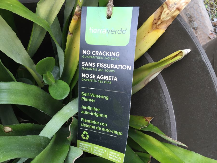 3 Large Outdoor Plant Pots - Two With Plants [Photo 3]