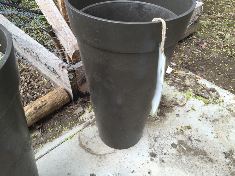 3 Large Outdoor Plant Pots - Two With Plants [Photo 8]