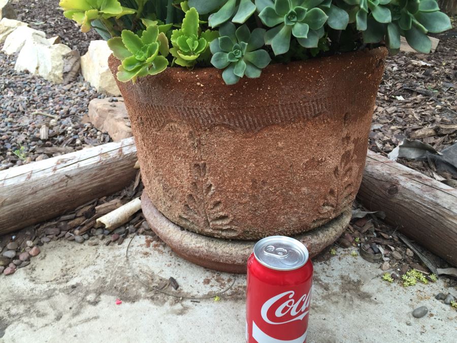 Potted Succulents [Photo 2]