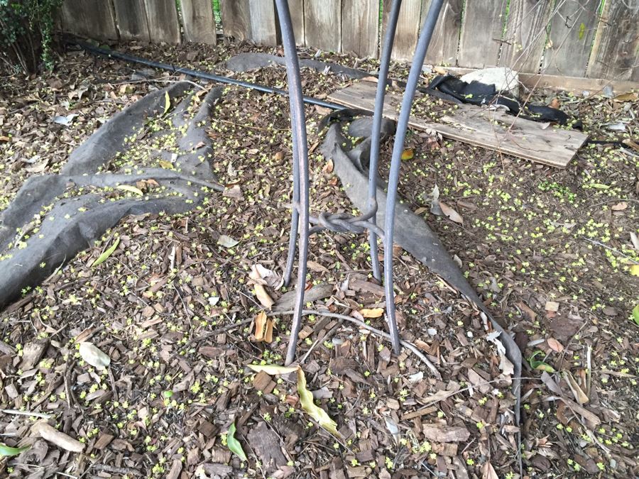 Bird Bath With Metal Stand And Pottery Bowl [Photo 4]