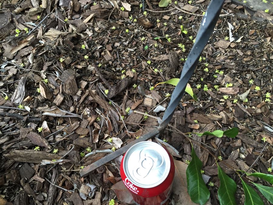 Twisted Metal Bird Feeder Stand With Bird Feeders [Photo 5]