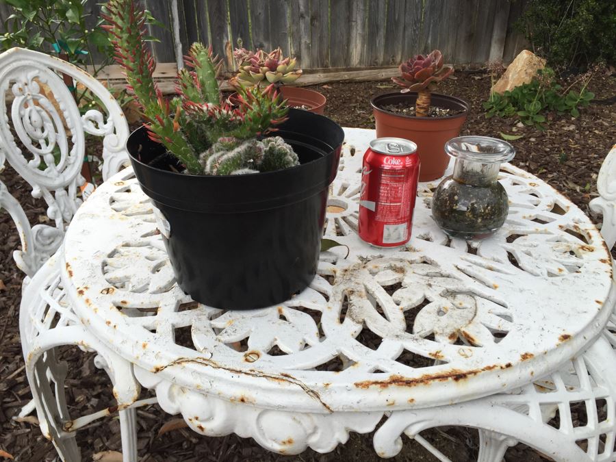 Vintage White Metal Outdoor Table With 2 Chairs And Succulents - Note Damage To Seat Of One Chair [Photo 2]