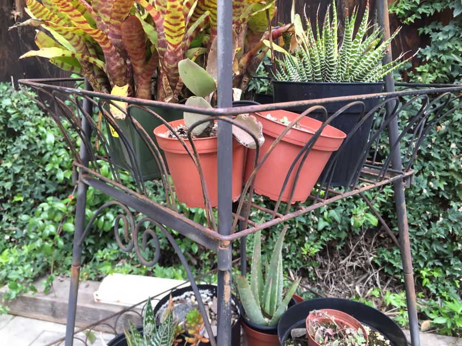 Obelisk Eifel Tower Plant Stand Filled With Potted Succulents - See All ...