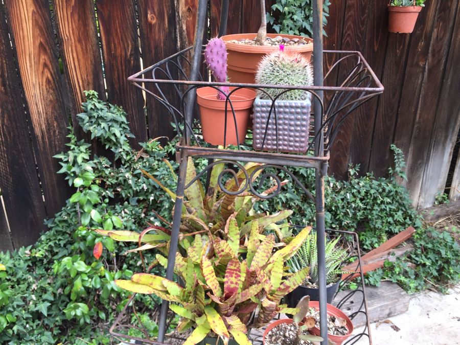 Obelisk Eifel Tower Plant Stand Filled With Potted Succulents - See All Photos [Photo 14]