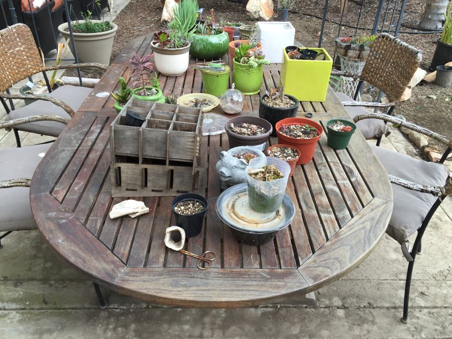 Large Outdoor Teak Table With 4 Chairs Filled With Potted Succulents [Photo 17]