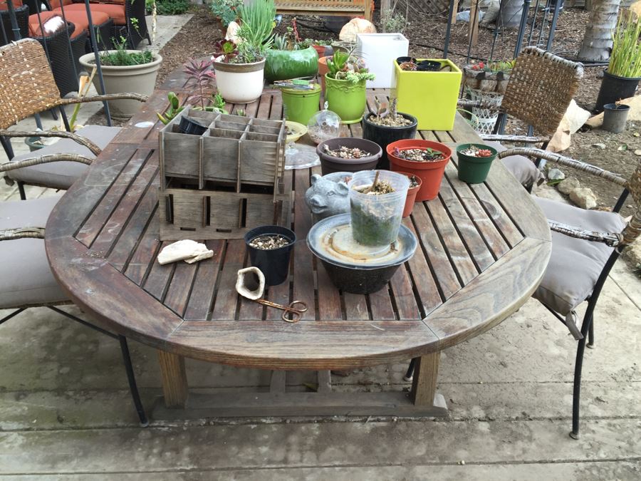 Large Outdoor Teak Table With 4 Chairs Filled With Potted Succulents [Photo 18]