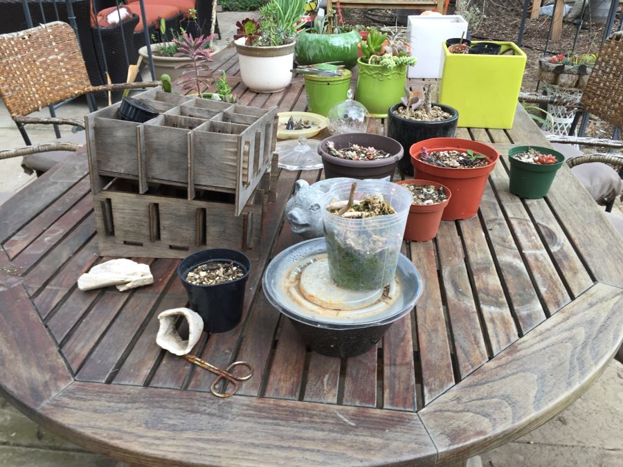 Large Outdoor Teak Table With 4 Chairs Filled With Potted Succulents [Photo 16]