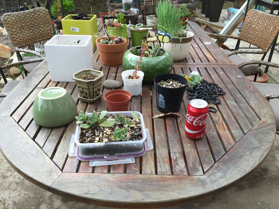 Large Outdoor Teak Table With 4 Chairs Filled With Potted Succulents [Photo 2]
