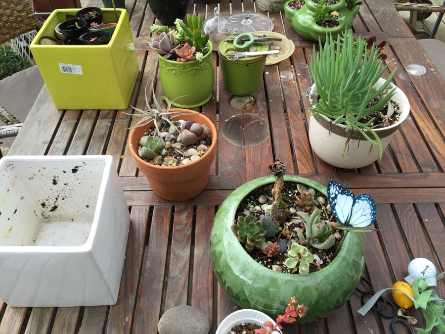 Large Outdoor Teak Table With 4 Chairs Filled With Potted Succulents [Photo 8]