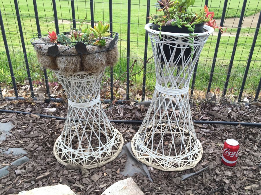 Pair Of White Plant Stands With Potted Succulents [Photo 1]