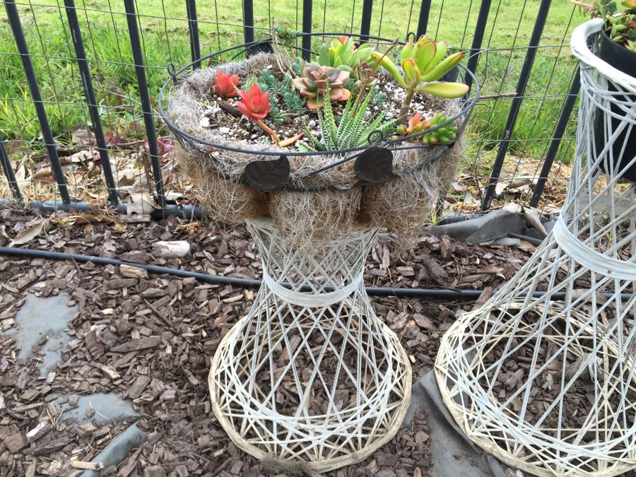 Pair Of White Plant Stands With Potted Succulents [Photo 3]