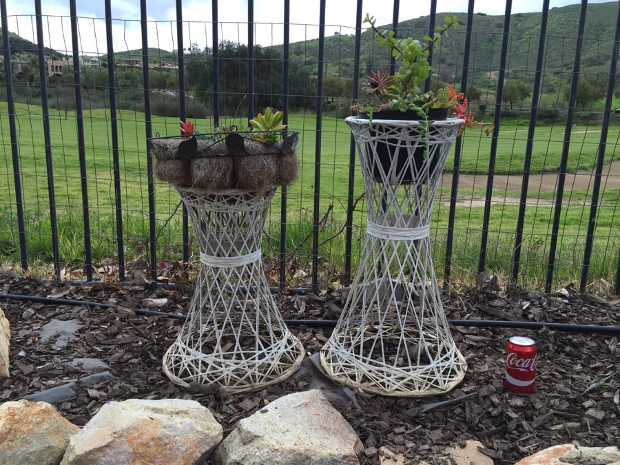 Pair Of White Plant Stands With Potted Succulents [Photo 4]