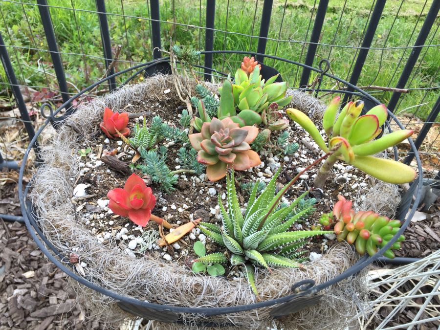 Pair Of White Plant Stands With Potted Succulents [Photo 8]