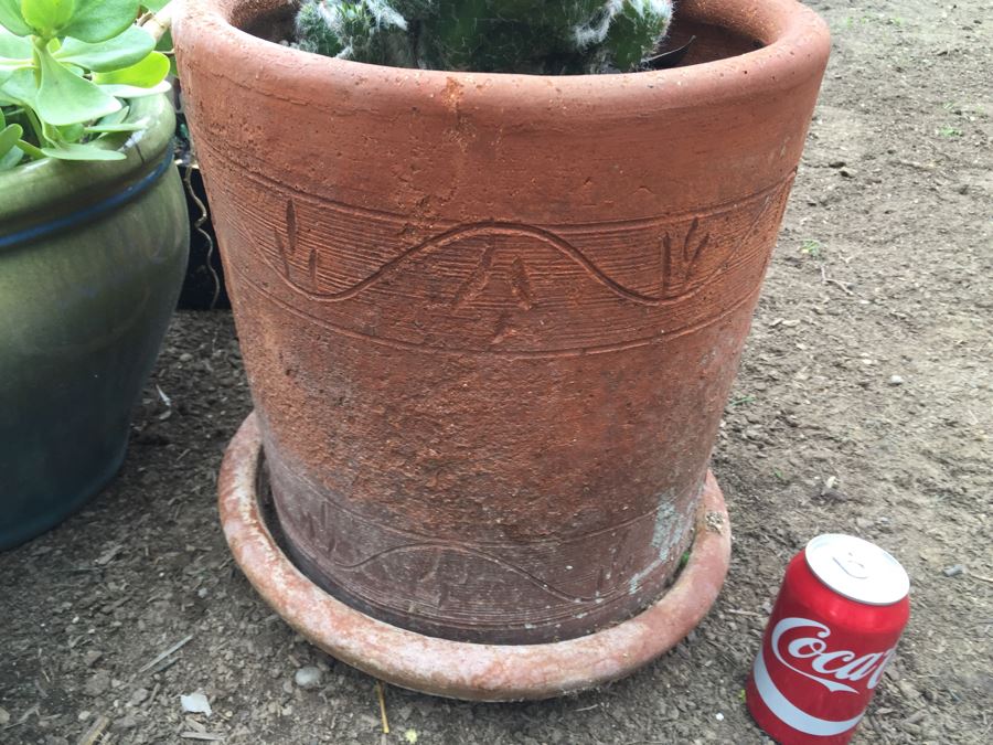 Potted Succulent Lot [Photo 4]