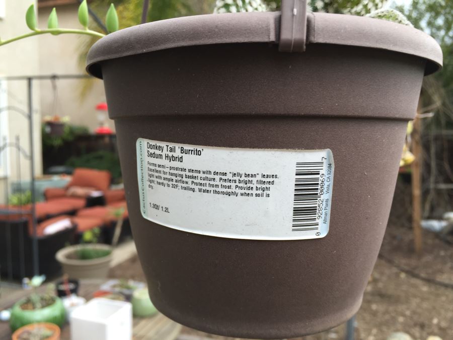 All Potted Succulets Attached To Metal Garden Structure Plus Bird Feeder, Wind Chime And Lantern [Photo 4]