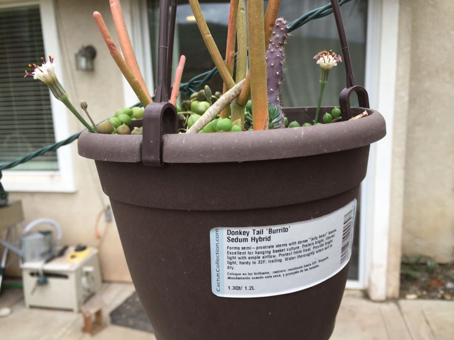 All Potted Succulets Attached To Metal Garden Structure Plus Bird Feeder, Wind Chime And Lantern [Photo 11]