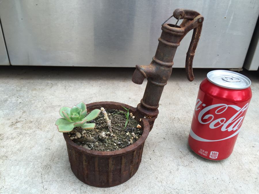 Unique Metal Well Pot With Succulent [Photo 8]