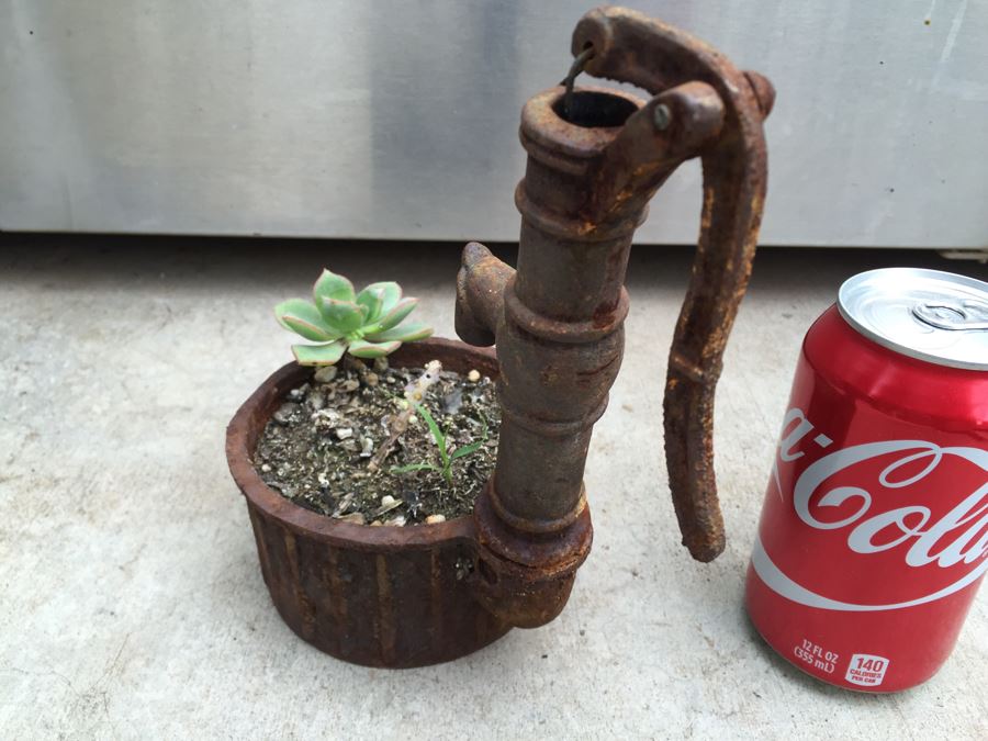 Unique Metal Well Pot With Succulent [Photo 6]