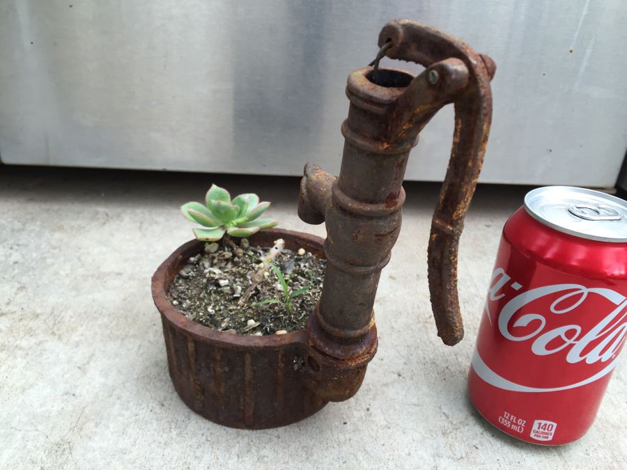 Unique Metal Well Pot With Succulent [Photo 7]