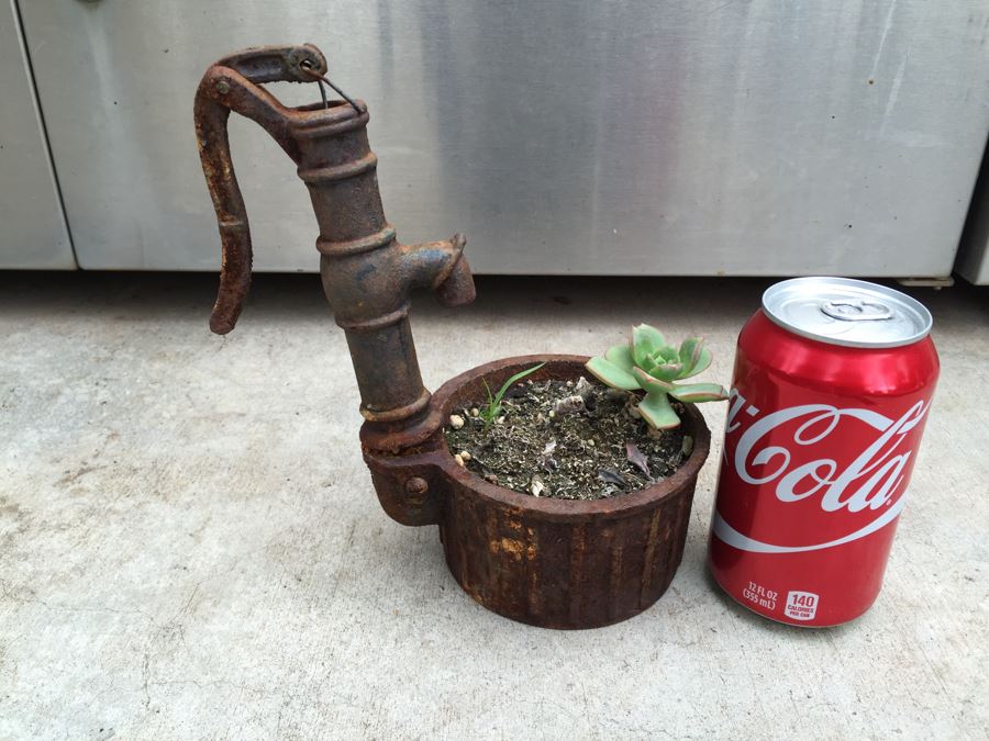 Unique Metal Well Pot With Succulent [Photo 1]