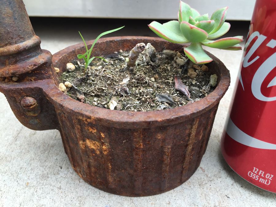 Unique Metal Well Pot With Succulent [Photo 5]