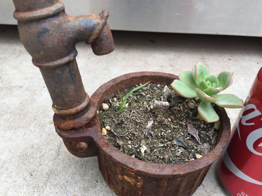 Unique Metal Well Pot With Succulent [Photo 2]