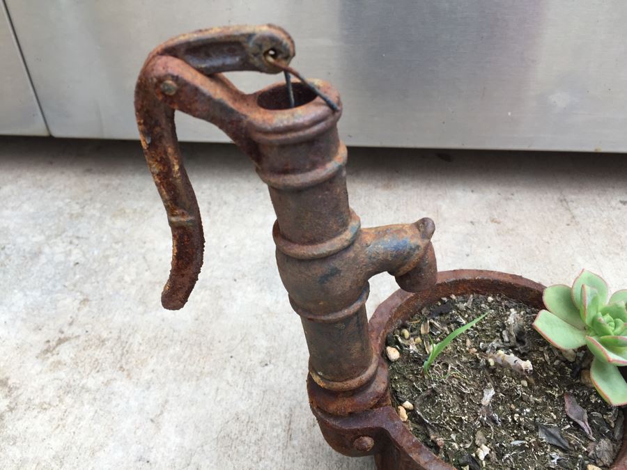 Unique Metal Well Pot With Succulent [Photo 4]