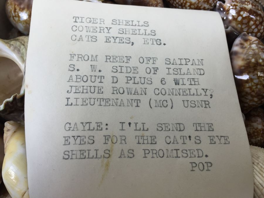 Collection Of Sea Shells Tiger Shells Cowery Shells Cats Eyes From Reef Of Saipan S.W. Side Of Island WWII Era With Jehue Rowan Connelly Lieutenant MC USNR [Photo 3]