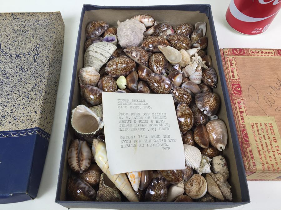 Collection Of Sea Shells Tiger Shells Cowery Shells Cats Eyes From Reef Of Saipan S.W. Side Of Island WWII Era With Jehue Rowan Connelly Lieutenant MC USNR [Photo 4]