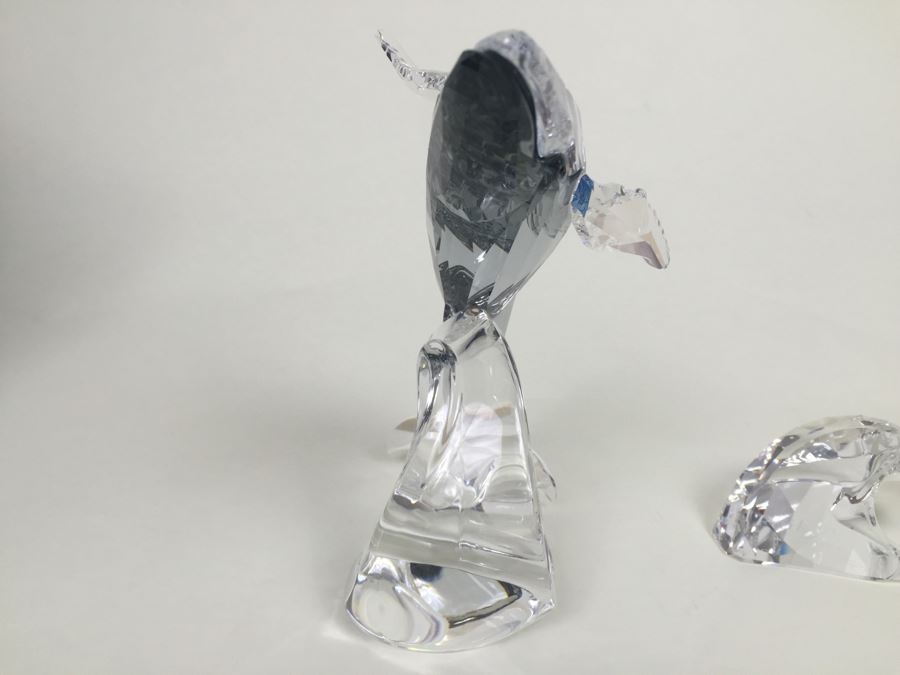 Swarovski Crystal Society SCS 2012 Paikea Whale With Original Box Retails $530 [Photo 24]