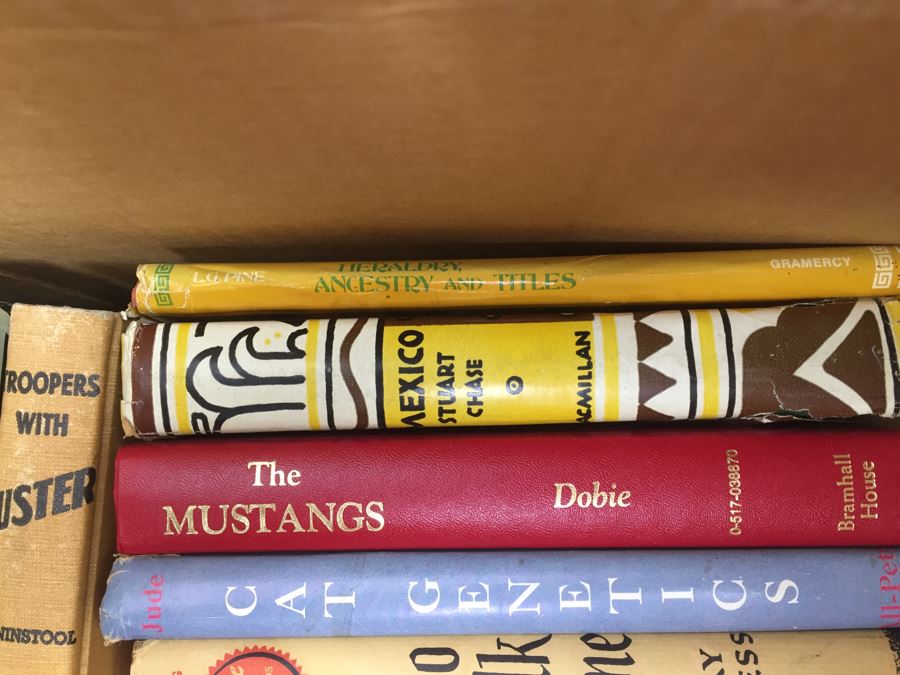 Assorted Book Lot With Mainly Hardcover Books Possible First Editions [Photo 6]