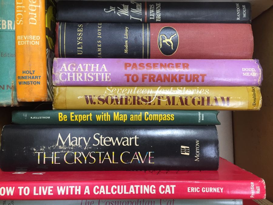 Assorted Book Lot With Mainly Hardcover Books Possible First Editions [Photo 6]