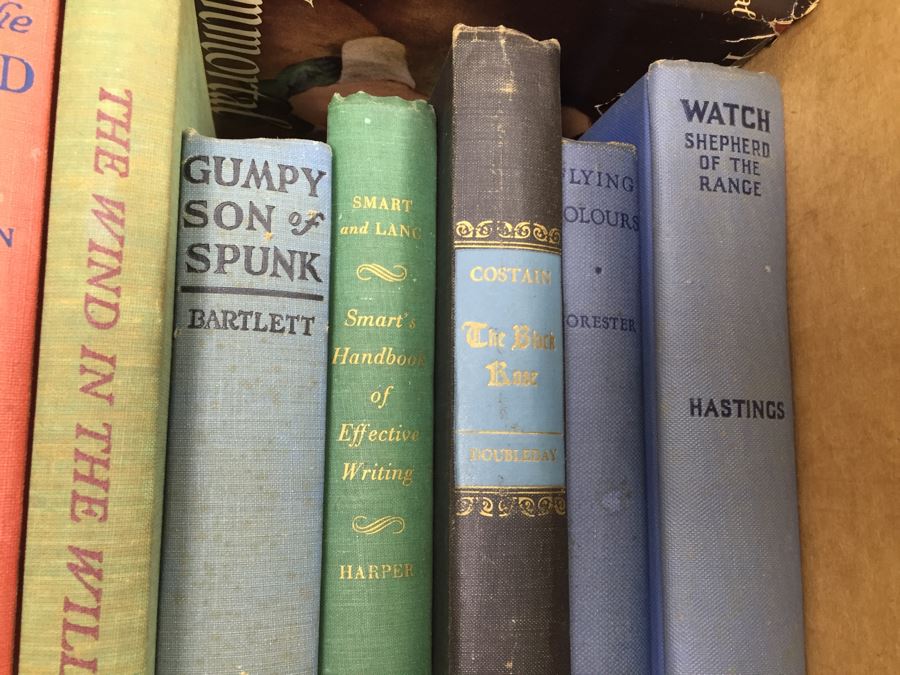 Assorted Book Lot With Mainly Hardcover Books Possible First Editions [Photo 10]