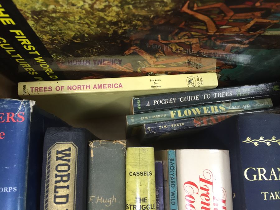 Assorted Book Lot With Mainly Hardcover Books Possible First Editions [Photo 18]