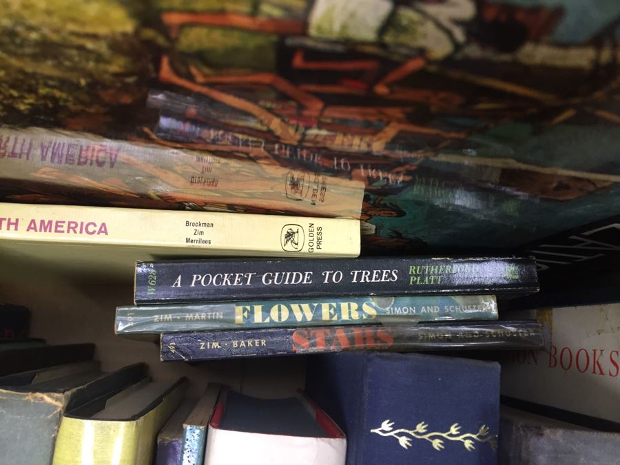 Assorted Book Lot With Mainly Hardcover Books Possible First Editions [Photo 19]