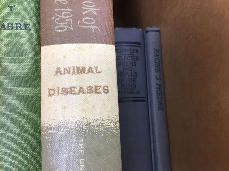 Assorted Book Lot With Mainly Hardcover Books Possible First Editions [Photo 11]