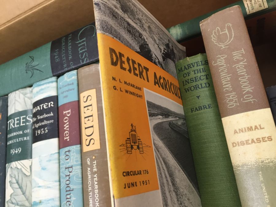 Assorted Book Lot With Mainly Hardcover Books Possible First Editions [Photo 10]