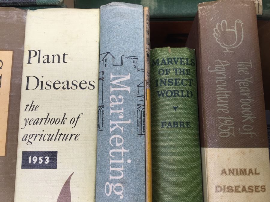 Assorted Book Lot With Mainly Hardcover Books Possible First Editions [Photo 9]