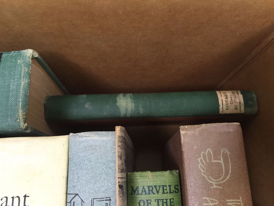 Assorted Book Lot With Mainly Hardcover Books Possible First Editions [Photo 14]