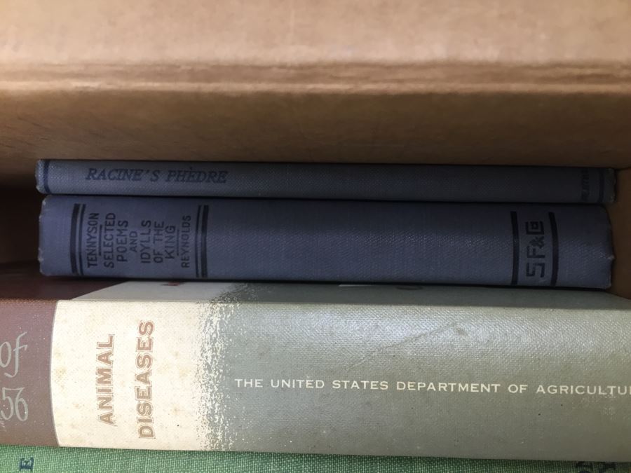 Assorted Book Lot With Mainly Hardcover Books Possible First Editions [Photo 12]