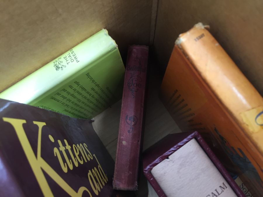 Assorted Book Lot With Mainly Hardcover Books Possible First Editions [Photo 14]