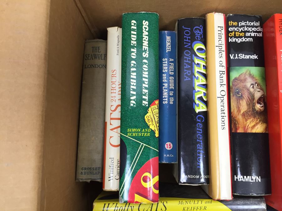 Assorted Book Lot With Mainly Hardcover Books Possible First Editions [Photo 7]