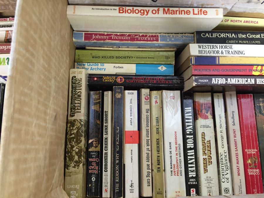 HUGE Lot Of Paperback Novels Books Mostly Fiction [Photo 42]