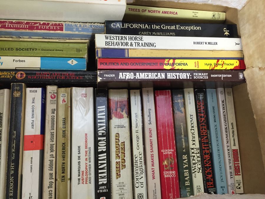 HUGE Lot Of Paperback Novels Books Mostly Fiction [Photo 43]