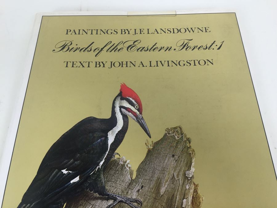 Paintings By J.E. Lansdowne Birds Of The Eastern Forest Volume 1 Text By John A. Livingston 1968 [Photo 5]