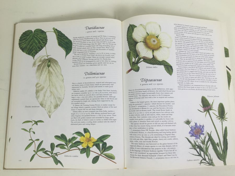 Flowers Of The World Frances Perry 1972 [Photo 8]