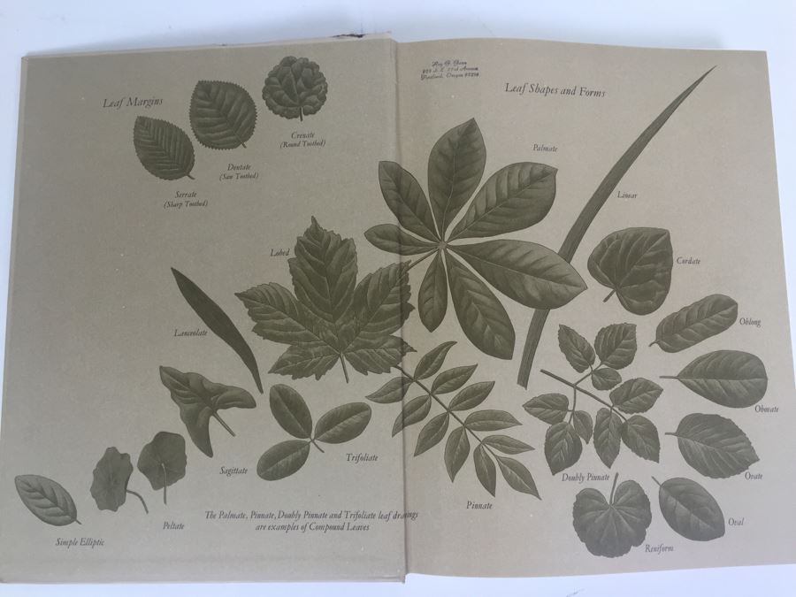 Flowers Of The World Frances Perry 1972 [Photo 6]