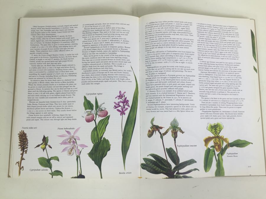 Flowers Of The World Frances Perry 1972 [Photo 9]