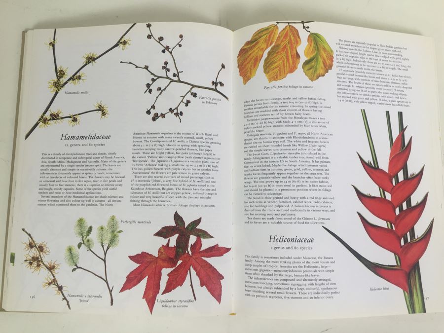 Flowers Of The World Frances Perry 1972 [Photo 7]