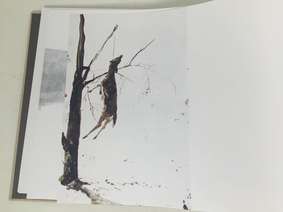 Large Format Book Andrew Wyeth AW Houghton Mifflin Company Richard Meryman 1968 First Printing [Photo 14]